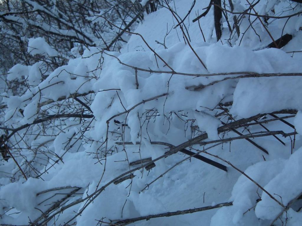 DSCF1215.JPG