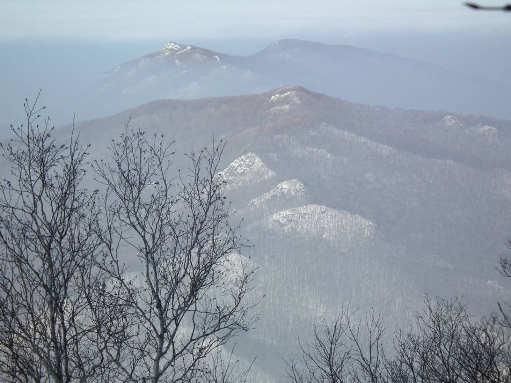 DSCF1173.JPG