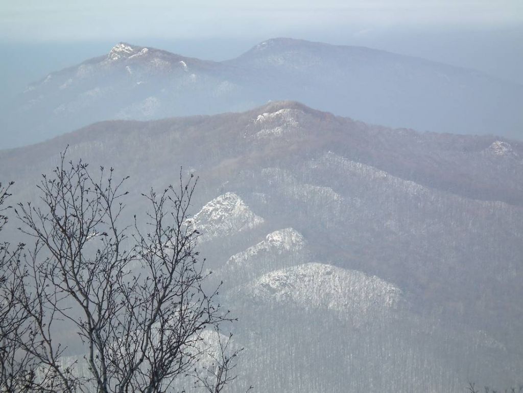DSCF1174.JPG