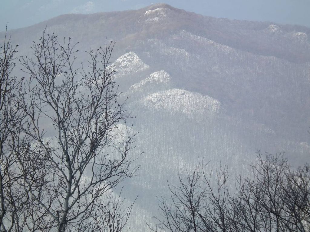 DSCF1175.JPG