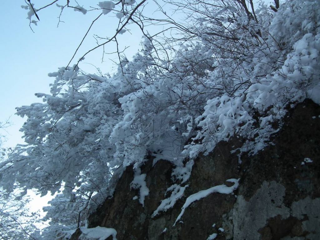 DSCF1290.JPG