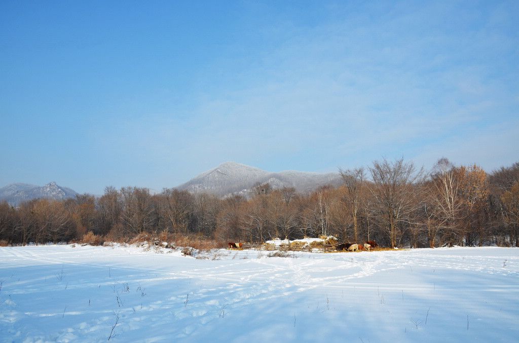 DSC_1022.jpg