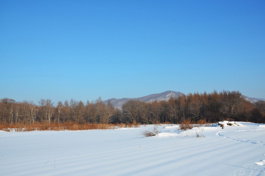 DSC_1079.jpg