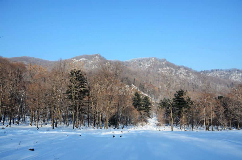 DSC_1062.jpg