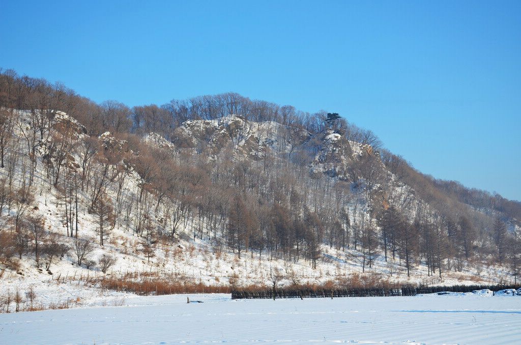 DSC_1107.jpg