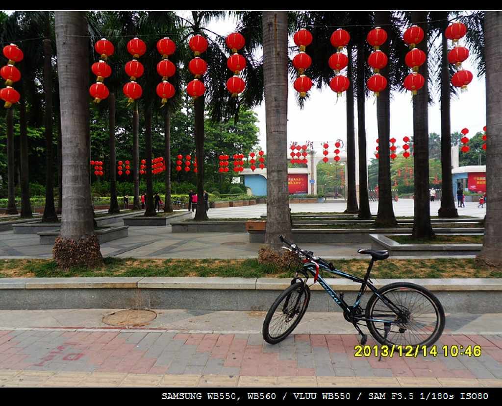 SDC10458.jpg