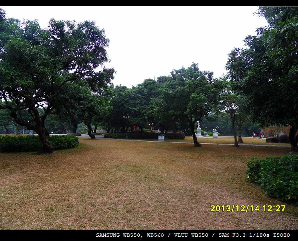 SDC10470.jpg