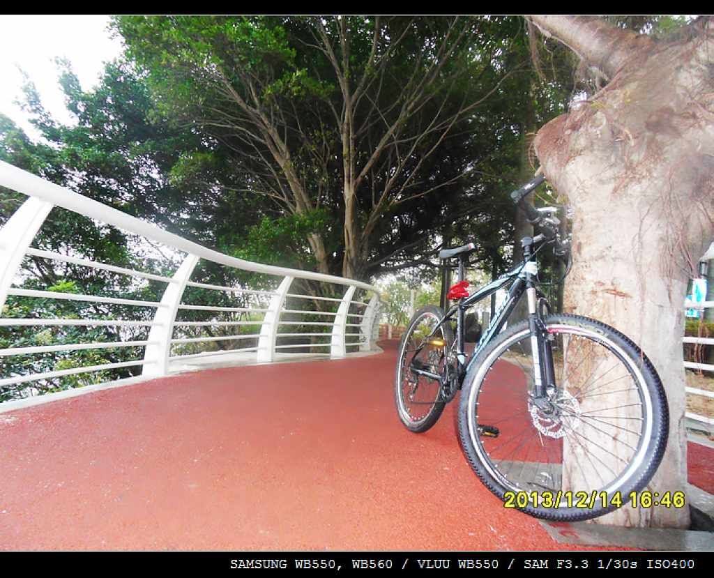 SDC10513.jpg