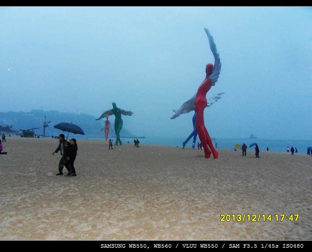 SDC10524.jpg