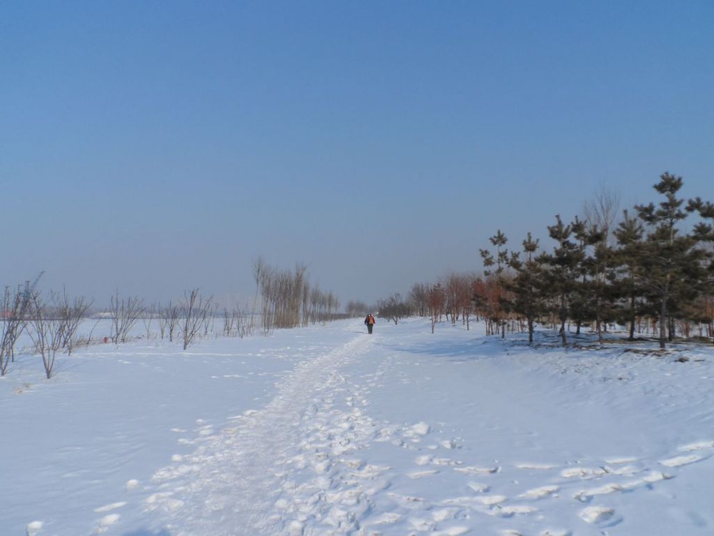 SAM_5300_����.jpg