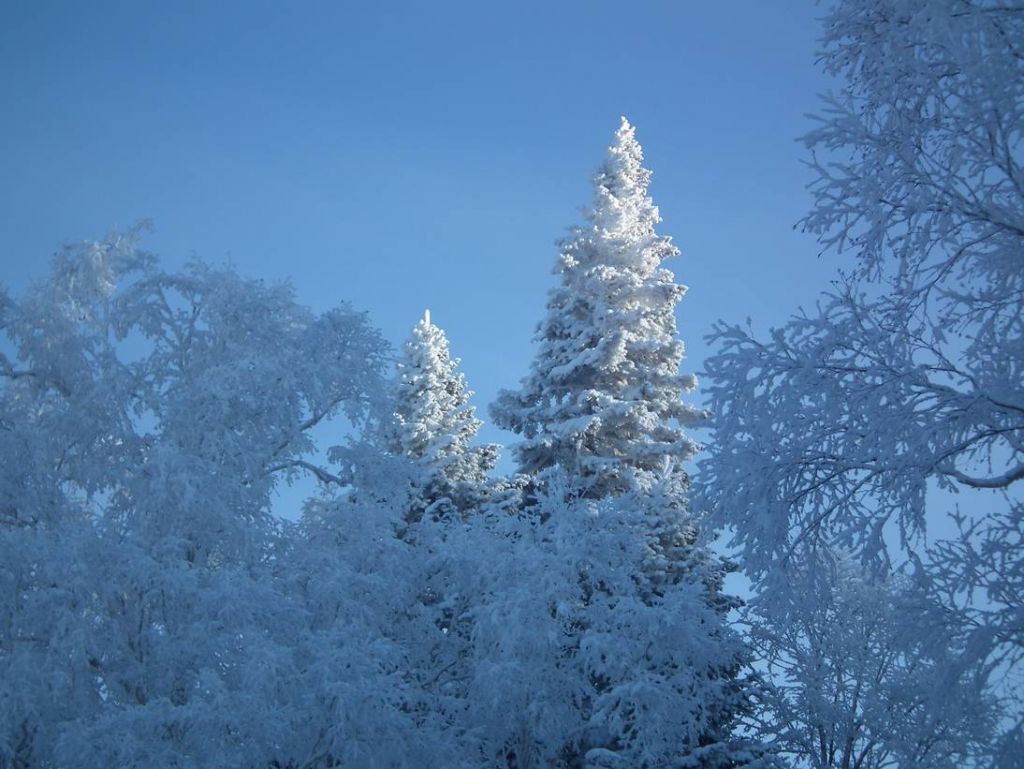 DSCF5773.JPG
