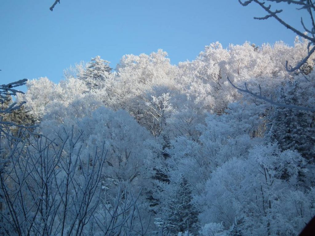 DSCF5698.JPG