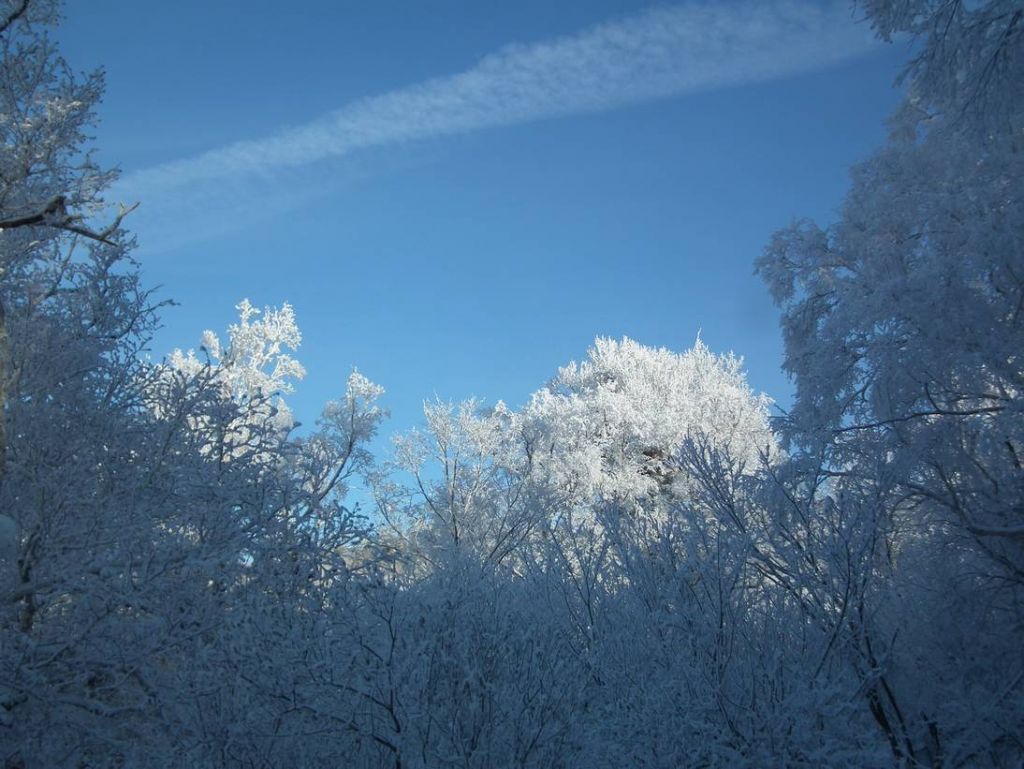 DSCF5793.JPG