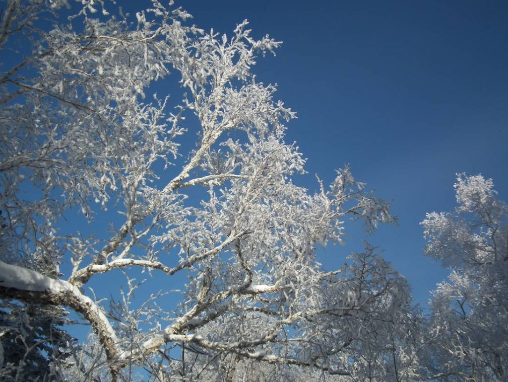 DSCF5841.JPG