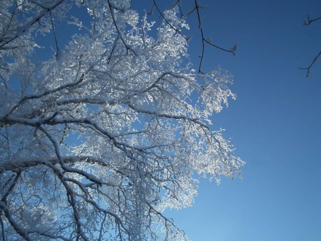 DSCF5845.JPG