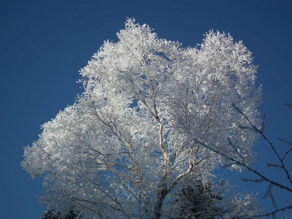 DSCF5826.JPG
