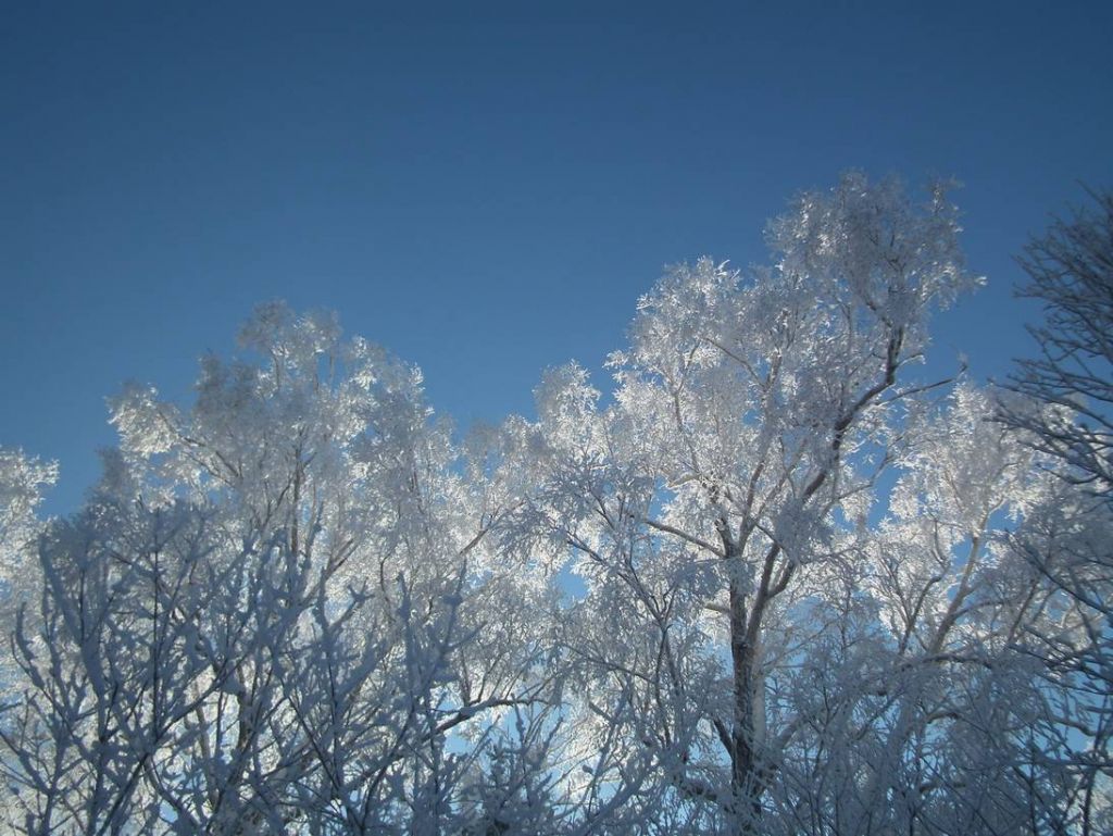 DSCF5828.JPG