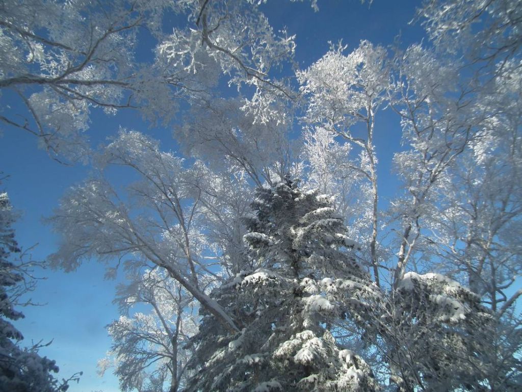 DSCF5883.JPG