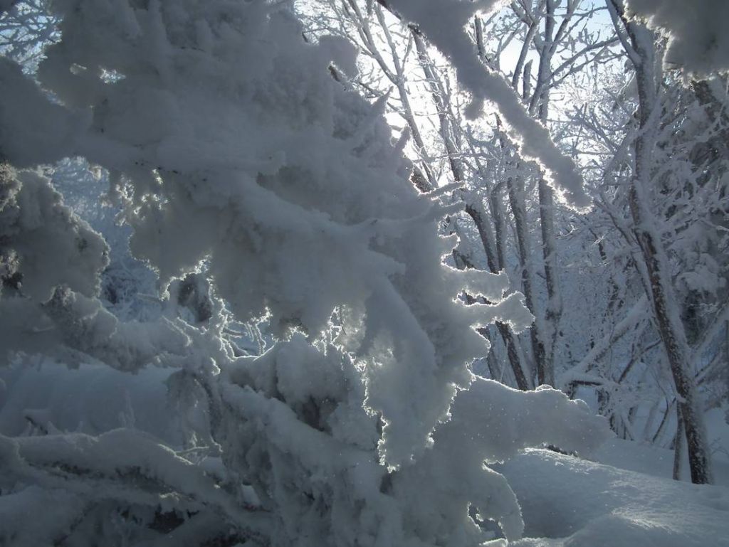 DSCF5886.JPG