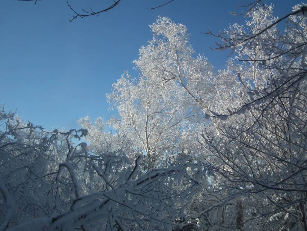 DSCF5888.JPG