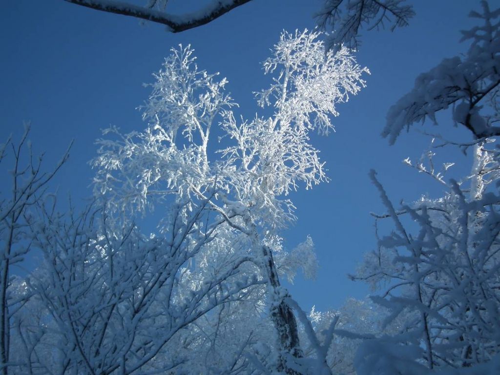DSCF5866.JPG