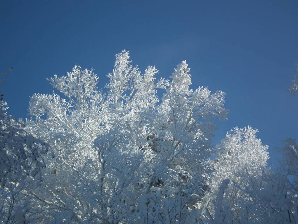 DSCF5899.JPG