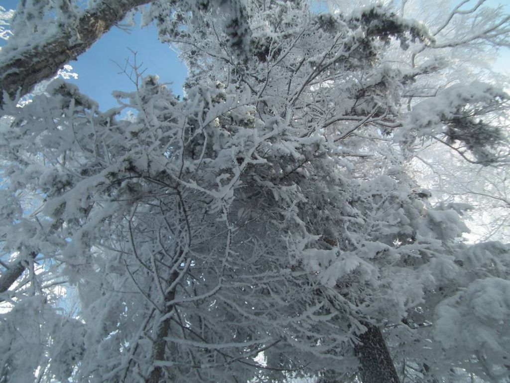 DSCF5925.JPG