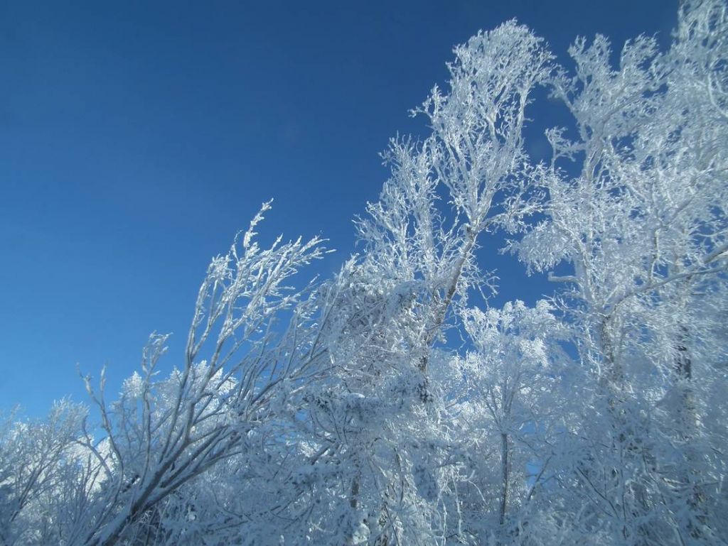 DSCF5931.JPG