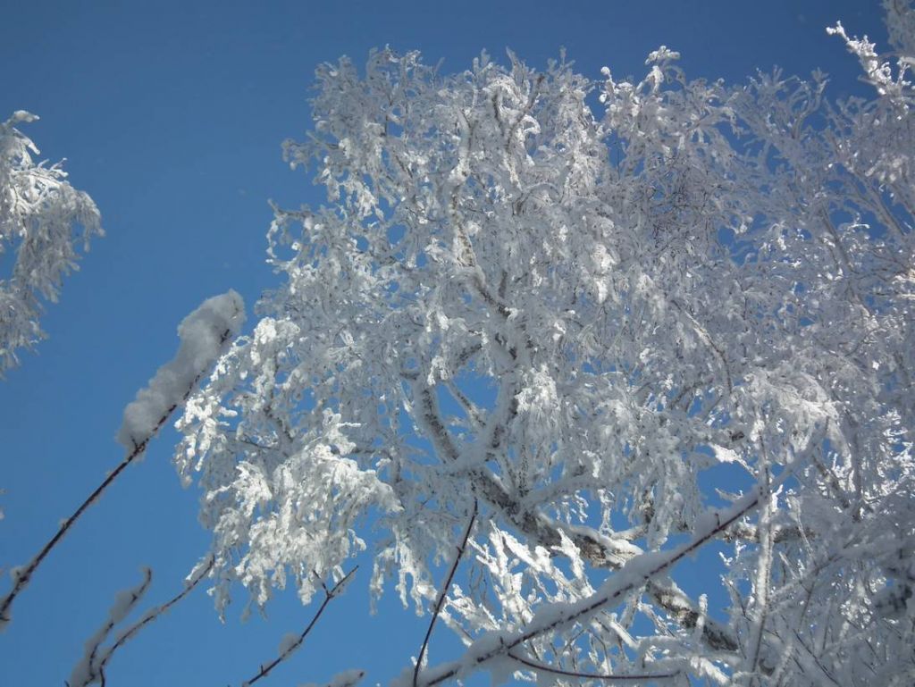 DSCF5956.JPG
