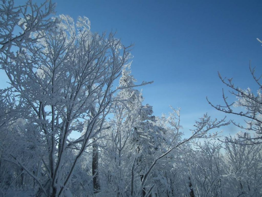 DSCF5957.JPG