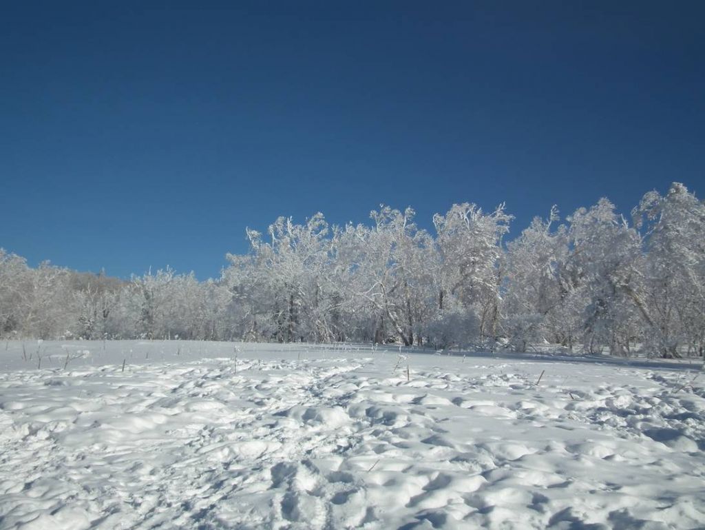 DSCF5985.JPG