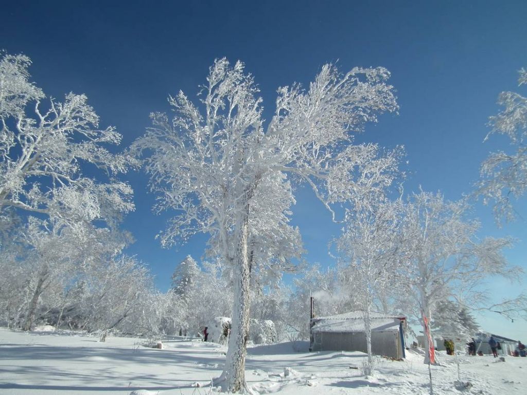 DSCF5995.JPG