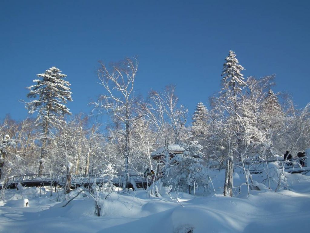 DSCF6319.JPG
