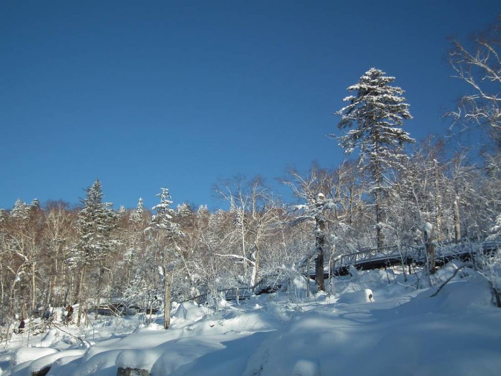DSCF6320.JPG
