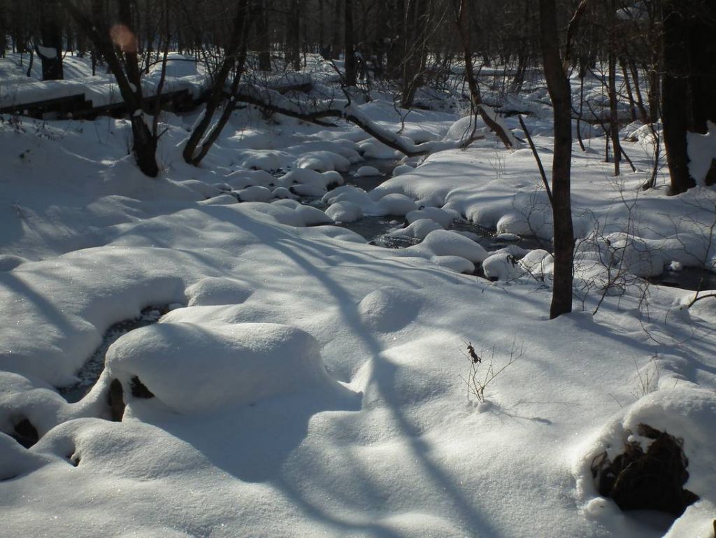 DSCF2689.JPG