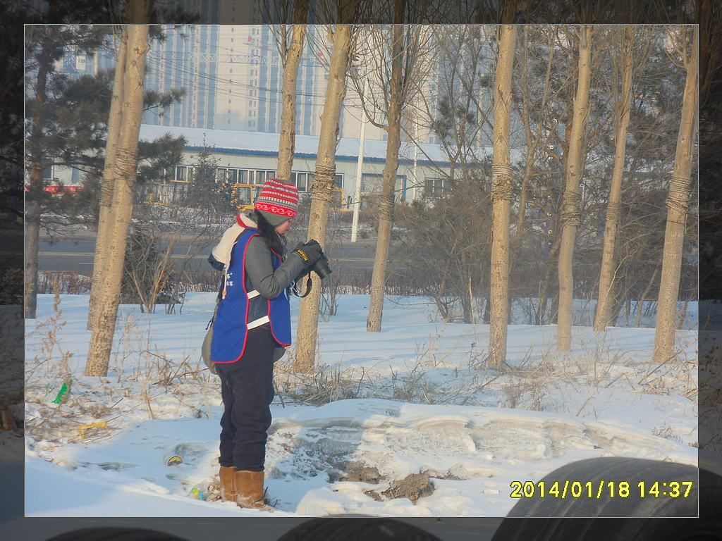 SDC10760.jpg