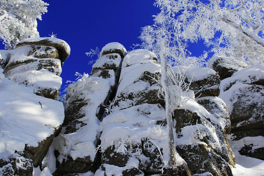 _MG_8985_����_1.JPG