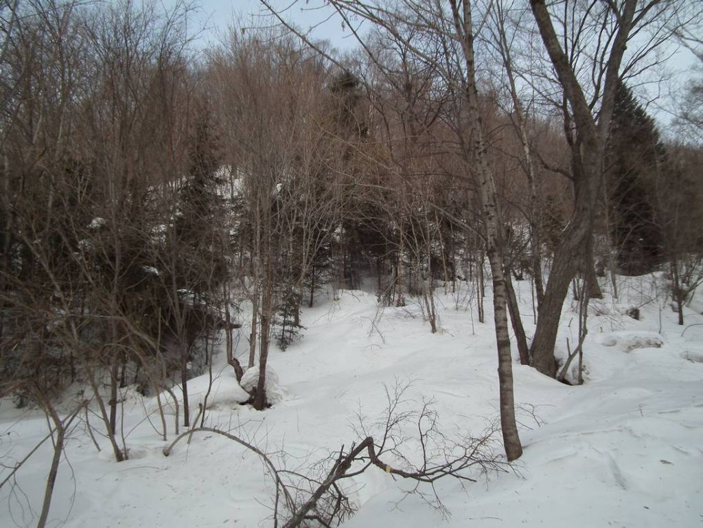 DSCF0340.JPG
