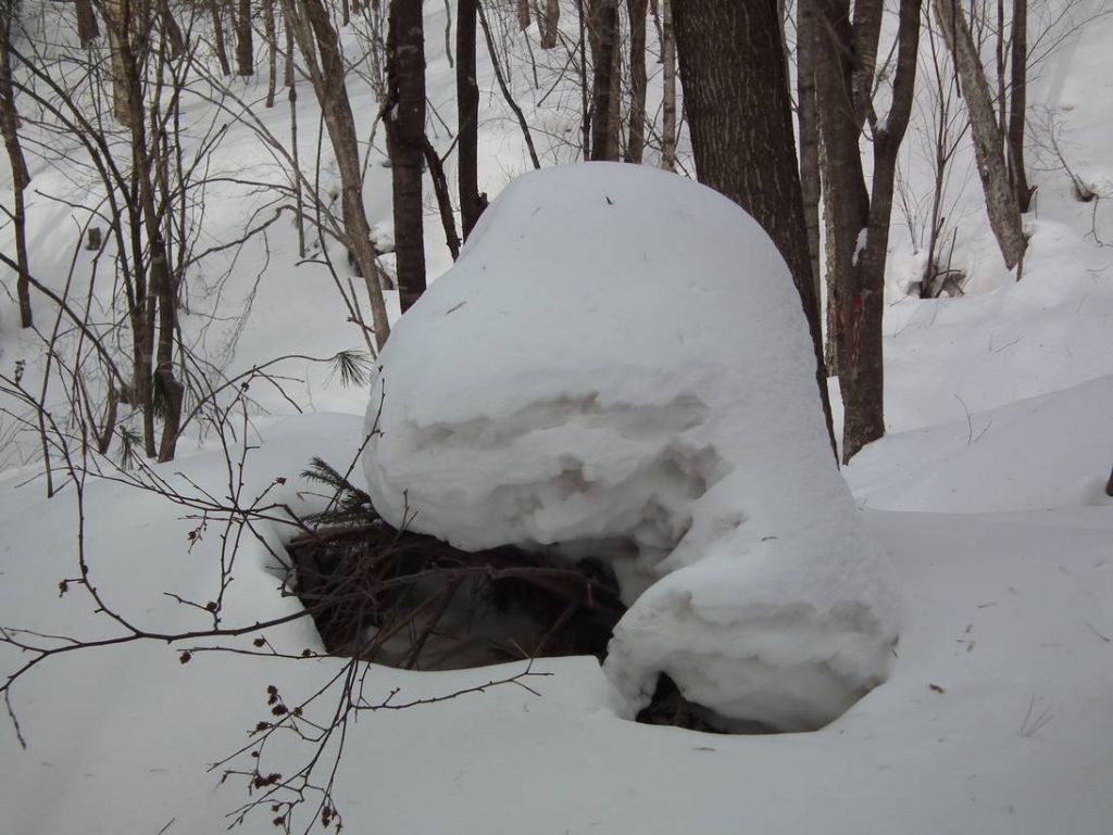 DSCF0346.JPG
