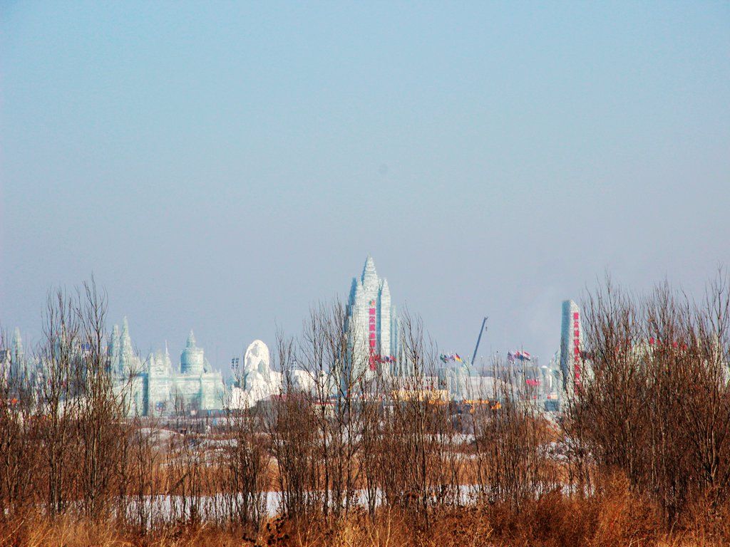 IMG_0800.jpg