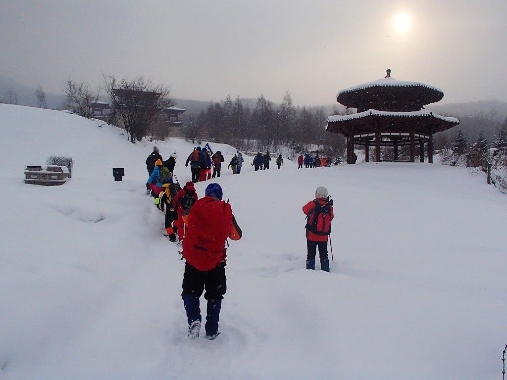 P1013121.jpg