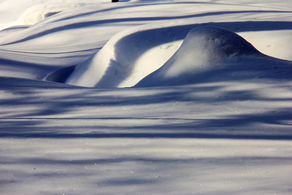 _MG_7801.JPG