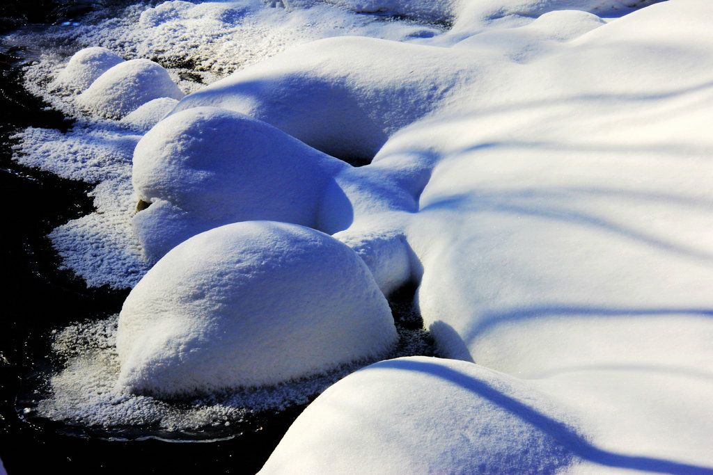 _MG_7871.jpg