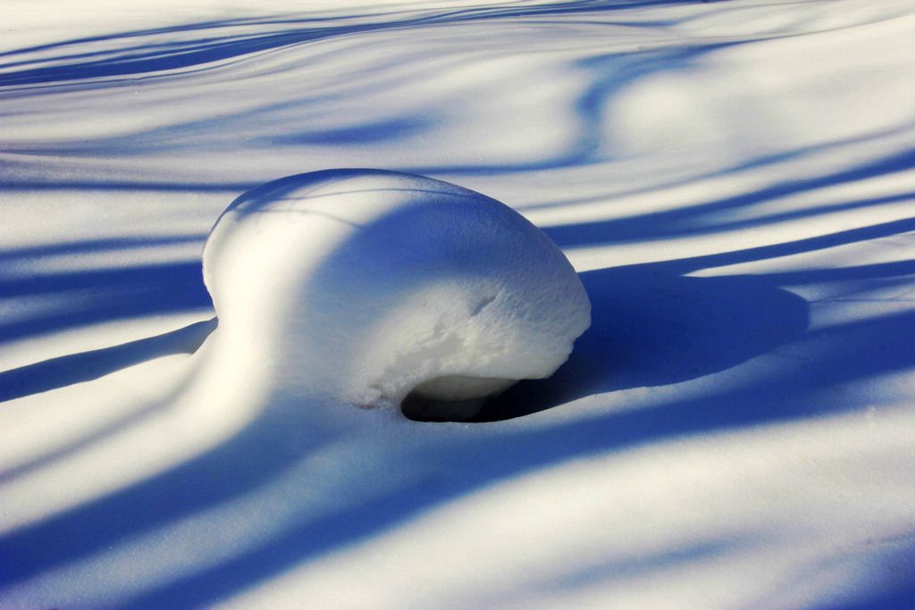 _MG_7842.jpg
