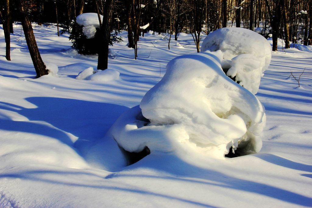 _MG_7873.jpg