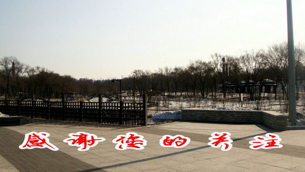 DSC03805_����.JPG