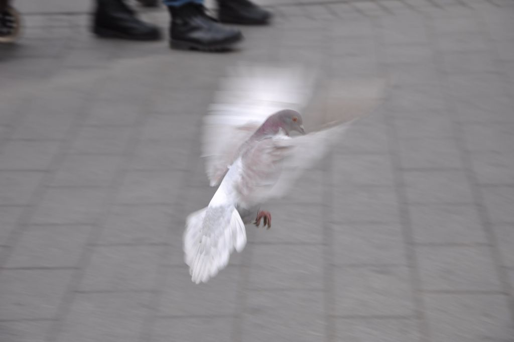 3.9������ɨ�� 073.jpg