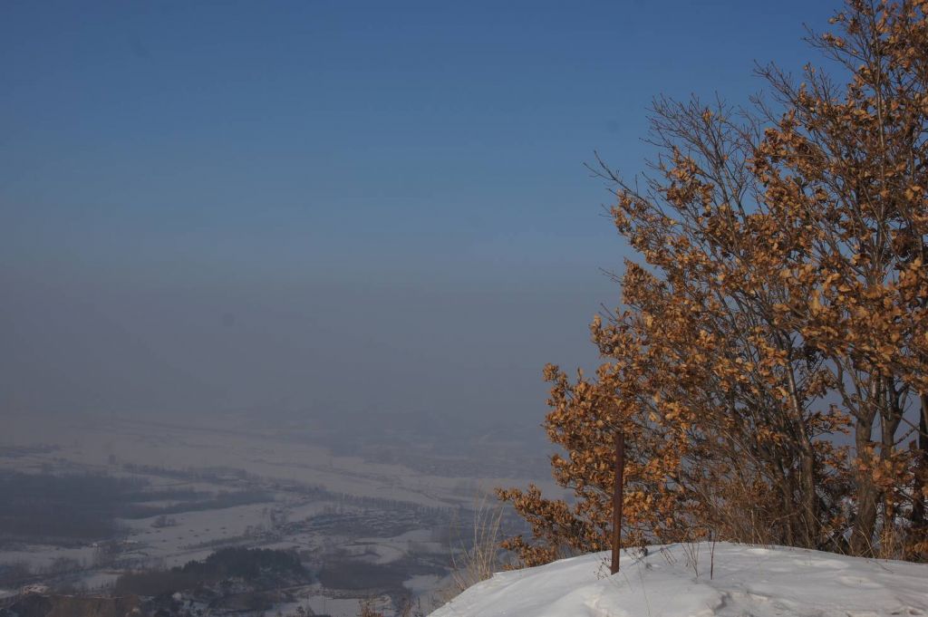 DSC04564.JPG