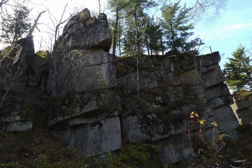 P1050180_1.JPG