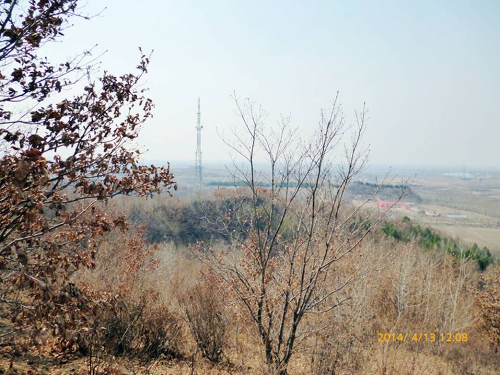 P1050304.jpg